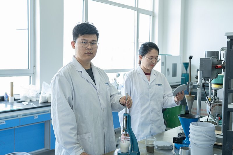 LANDU Professional Technical Team