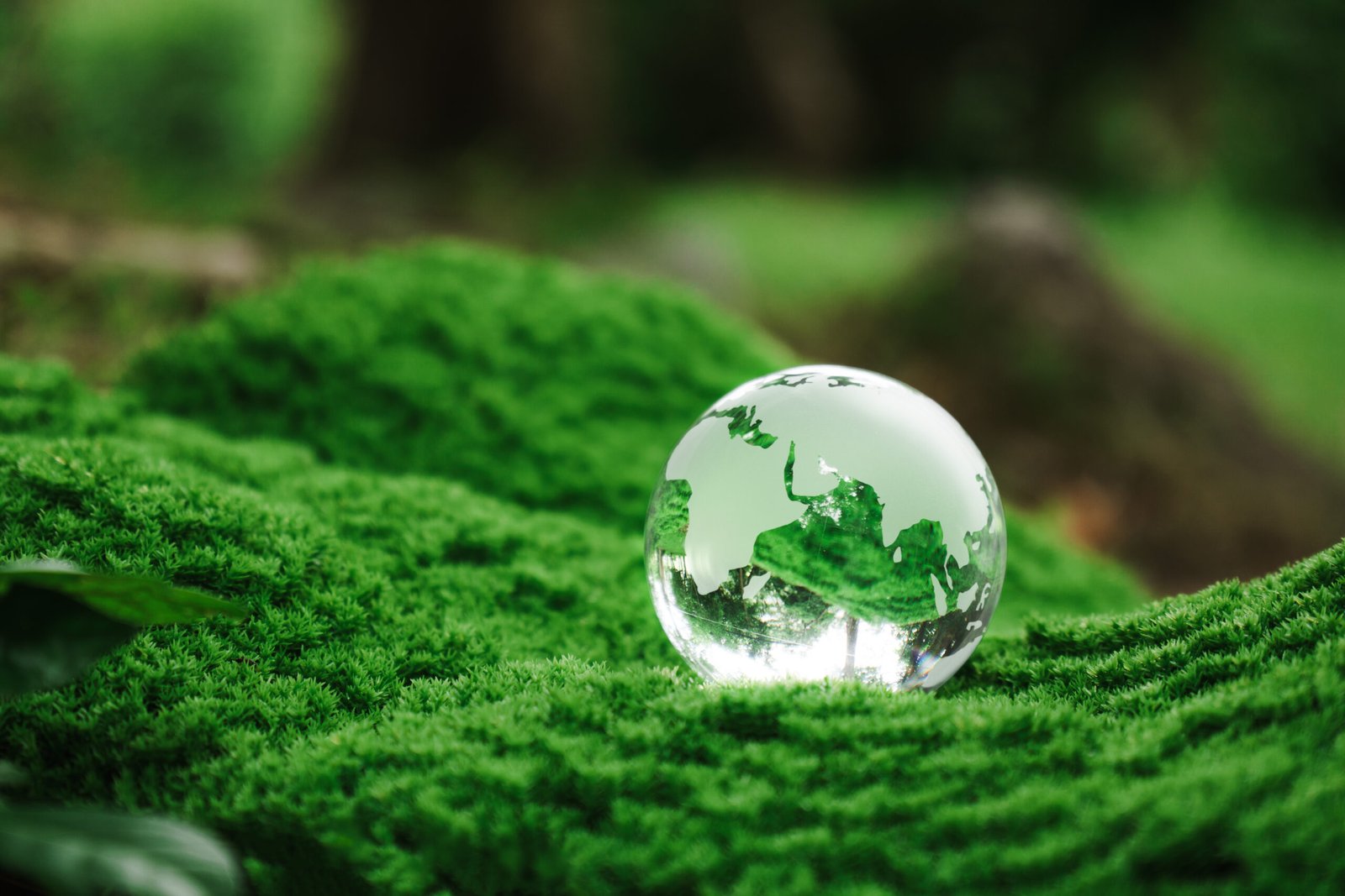 Crystal Earth on Green Moss
