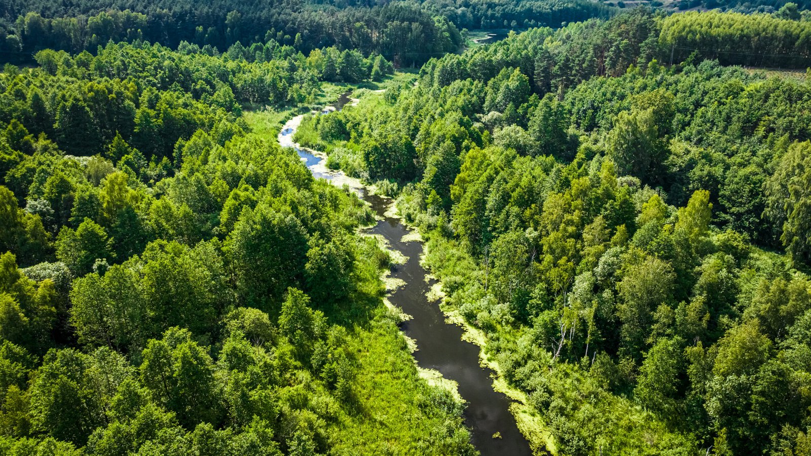 Eco-Friendly Production